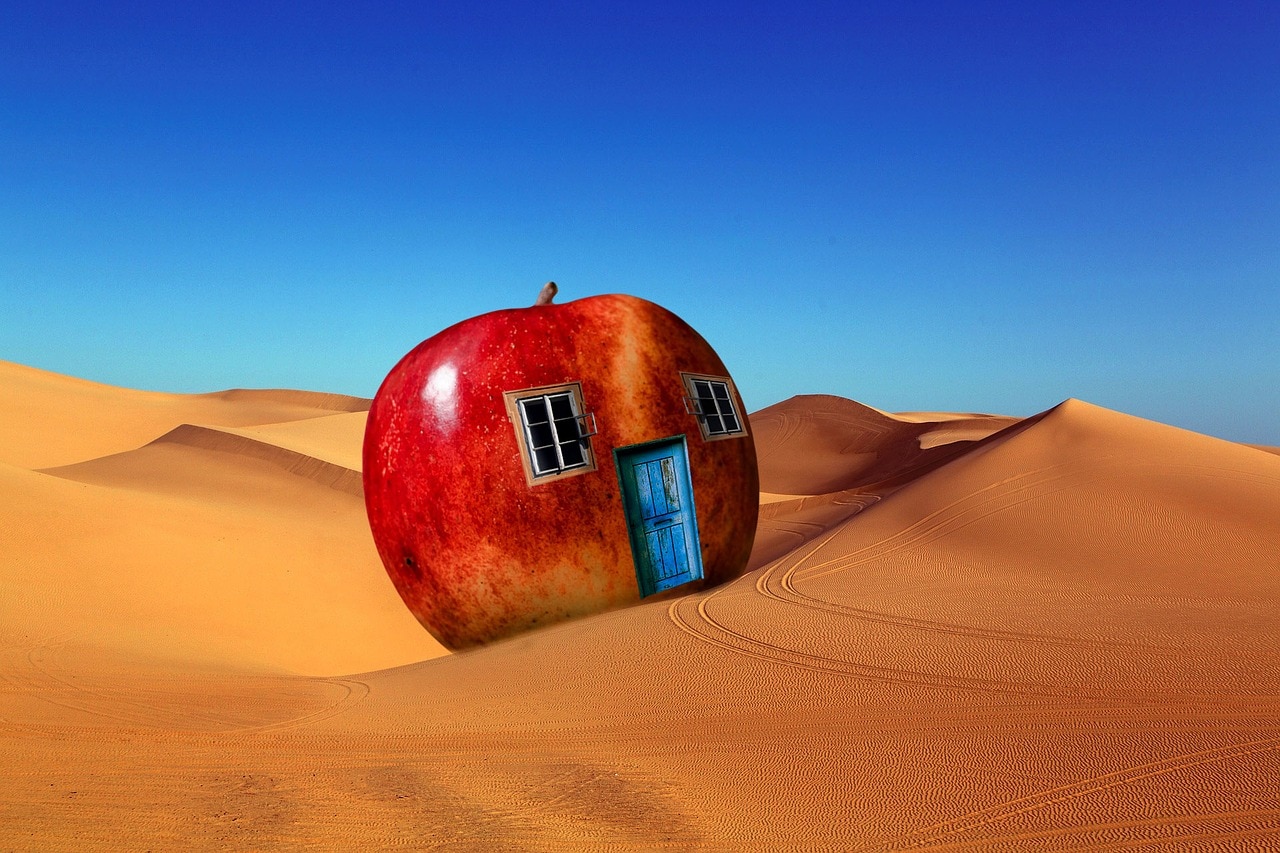 Apple Free Stock Photo - Public Domain Pictures